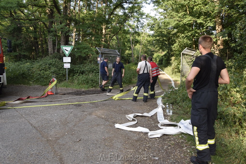 Waldbrand Koeln Hoehenhaus Hoehenfelder Mauspfad P016.JPG - Miklos Laubert